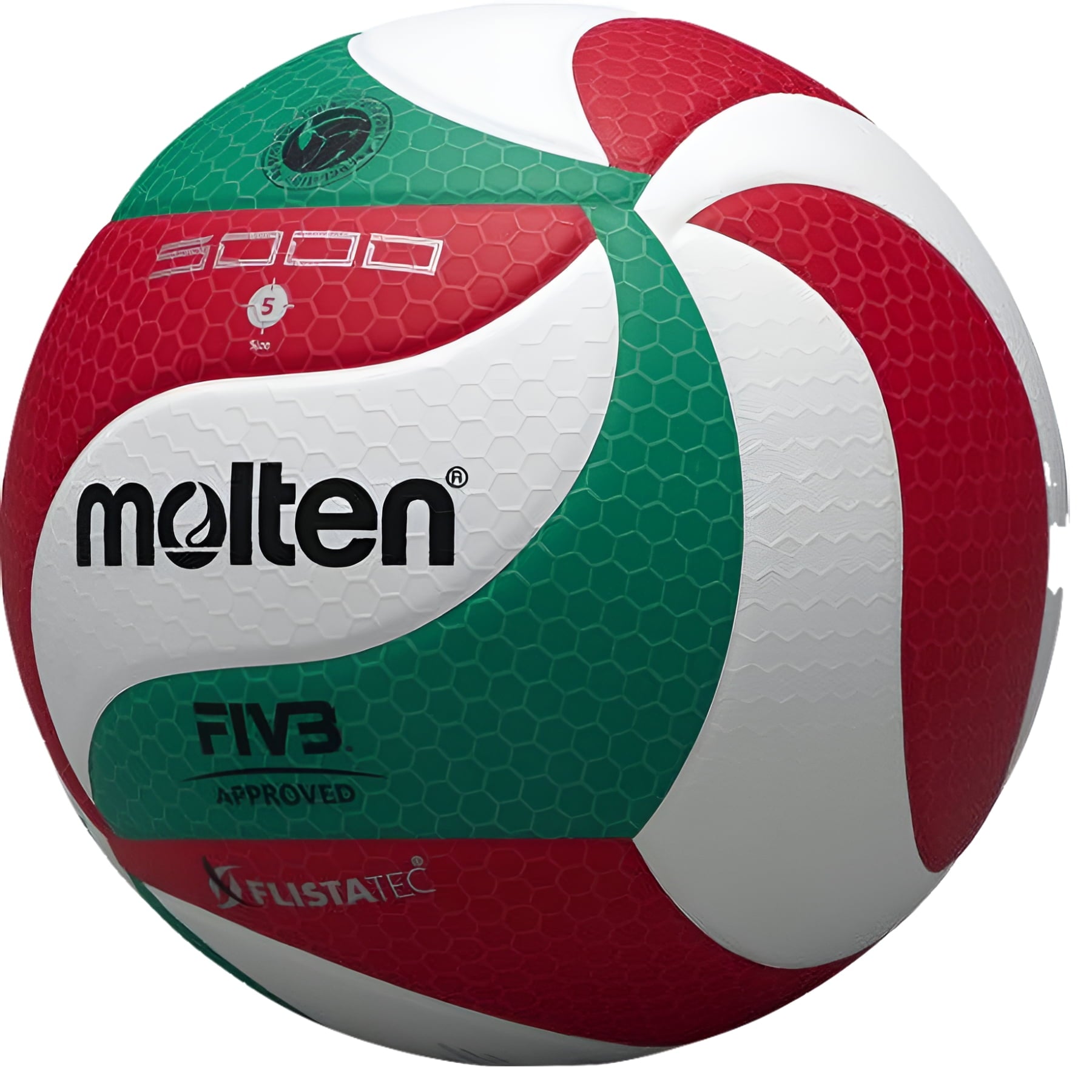 Molten Official NORCECA Volleyball
